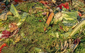cibo deteriorato